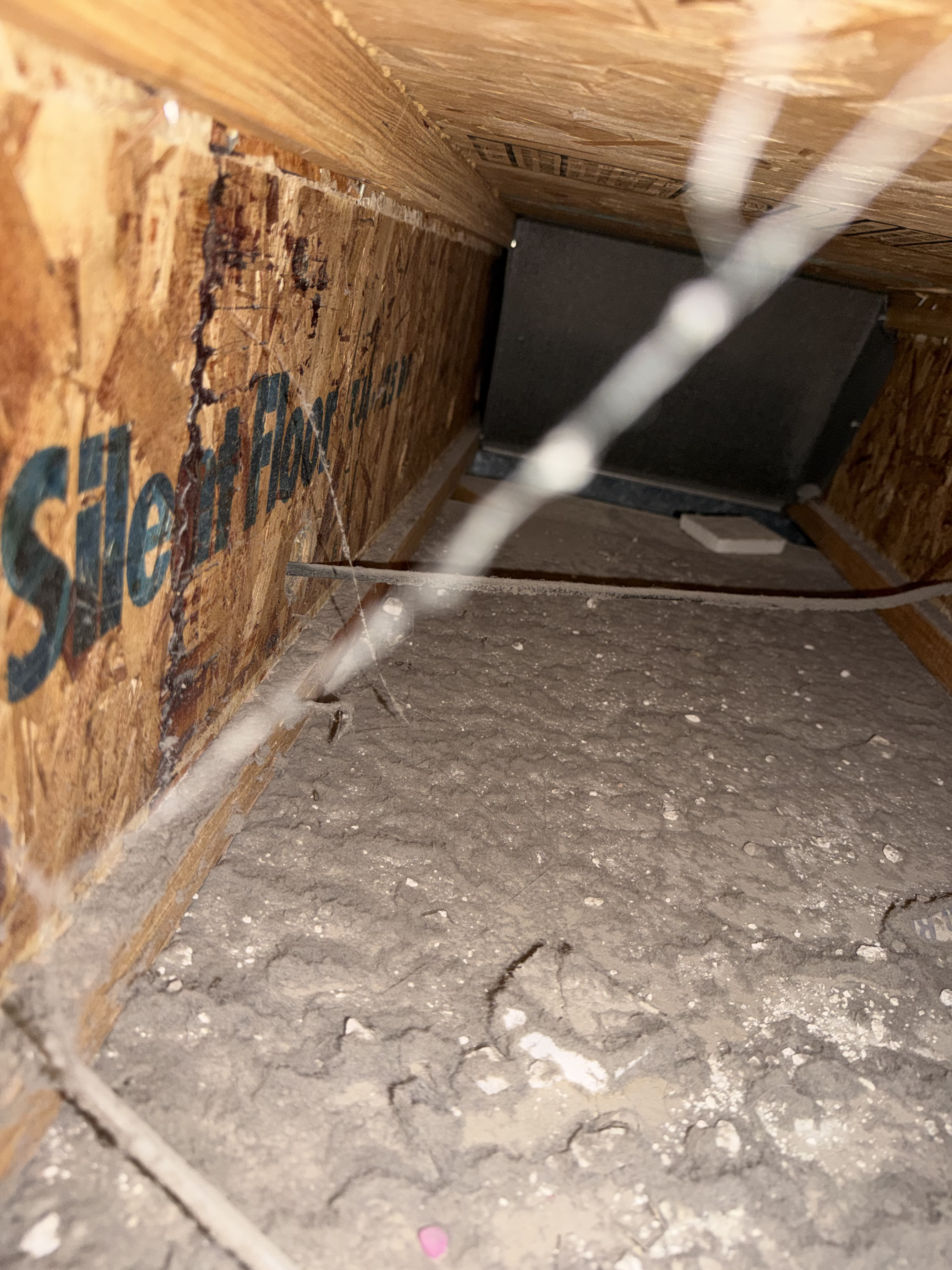 Air Duct Cleaning before Ridgeline cleaning — Main trunk line cleared